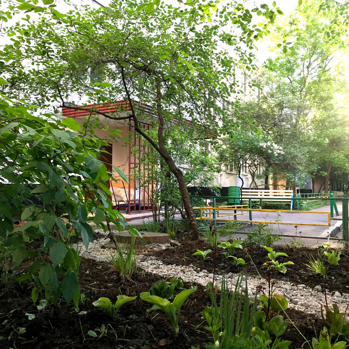 Придомовая территория в Алтуфьево