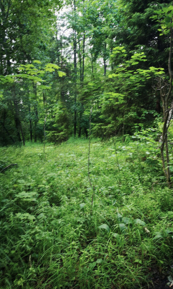 Ландшафтный проект Верхнего парка