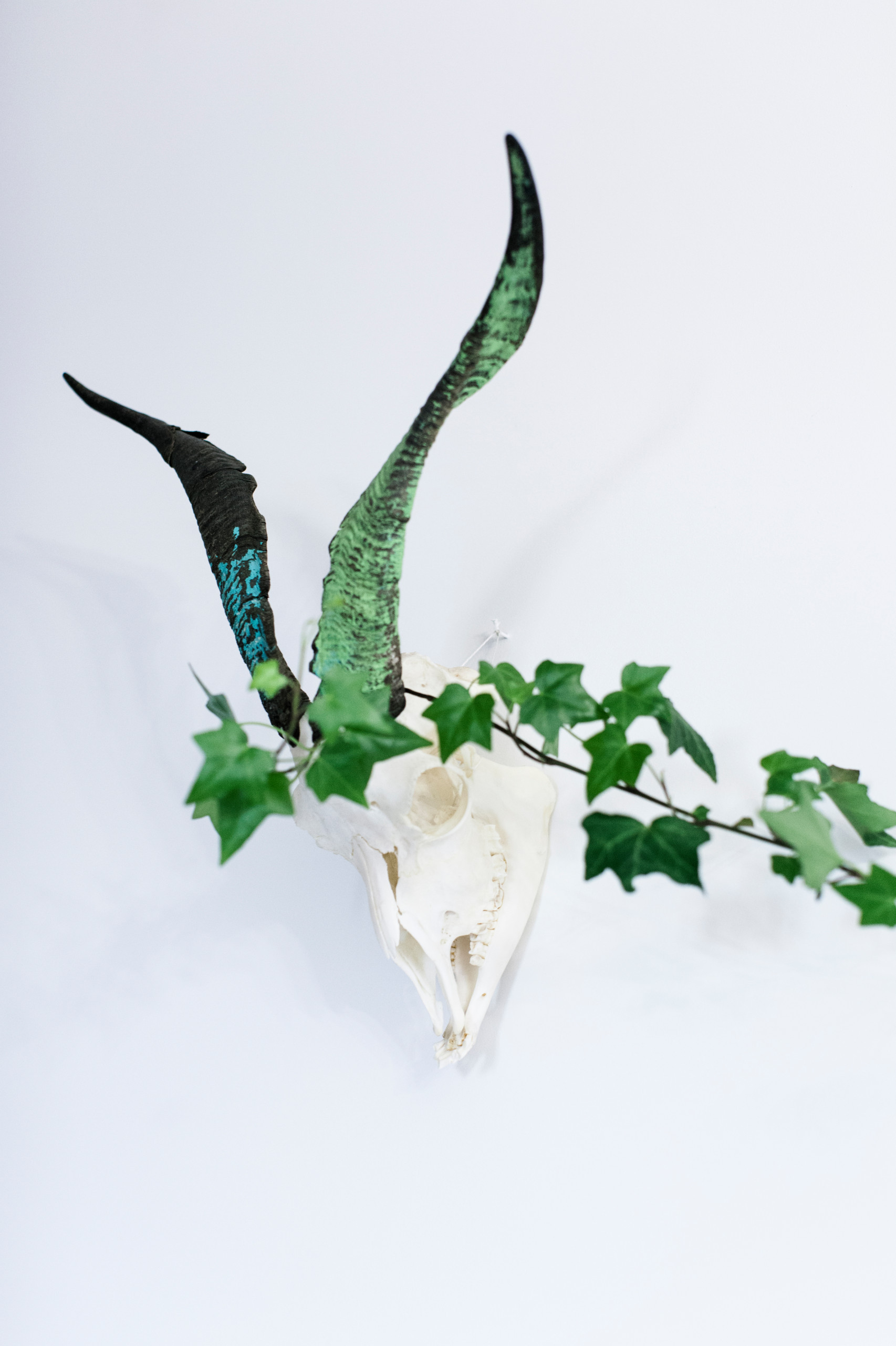 В гостях: Интерьер для влюбленных в дизайн и друг друга