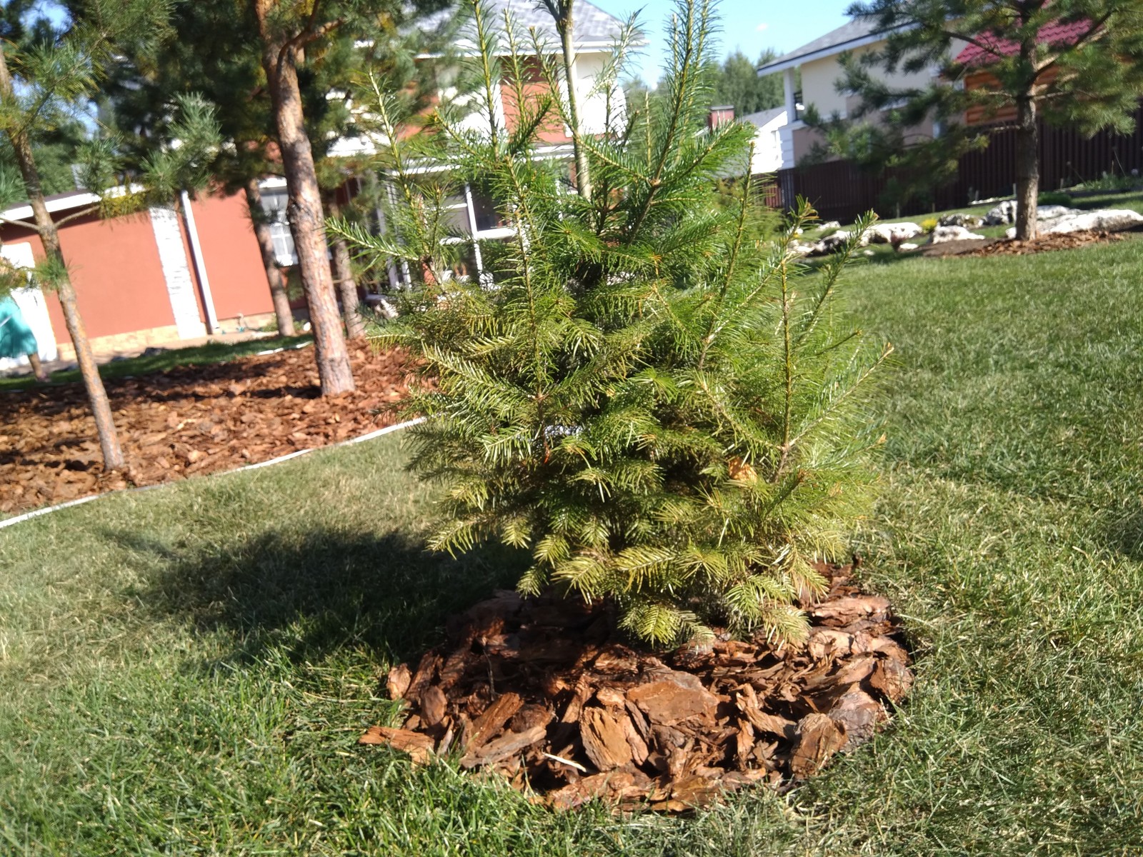 Обложка проекта: Ландшафтный дизайн в коттеджном поселке под Ижевском