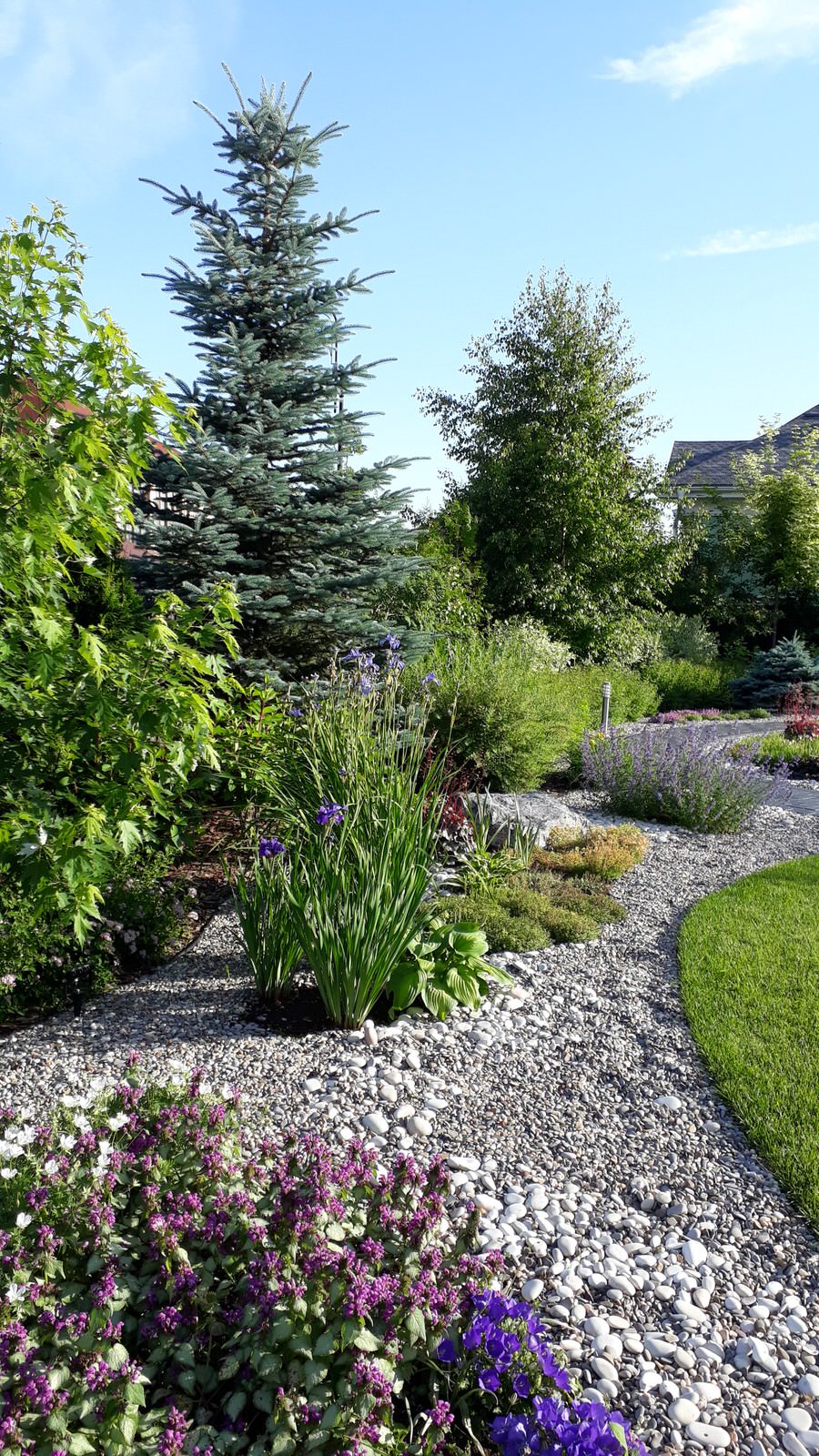 Обложка проекта: Павлово