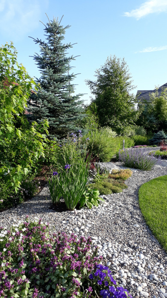 Обложка проекта: Павлово