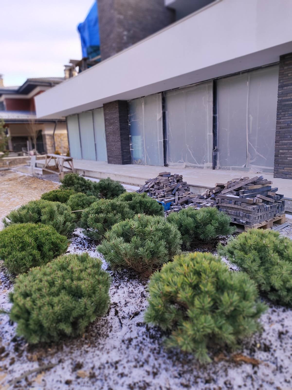 В работе 2023 и старше