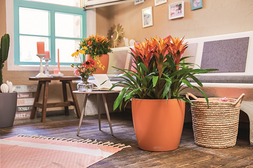 Самый популярный летний стиль