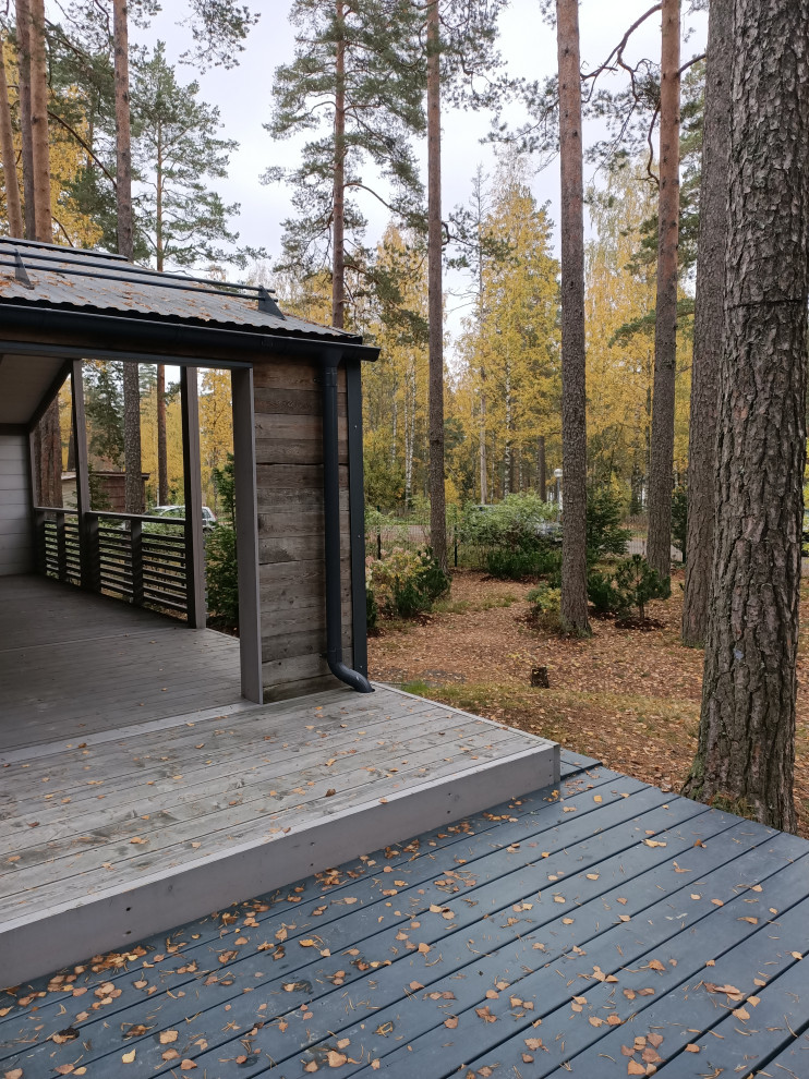 Участок в сосновом лесу, 2020