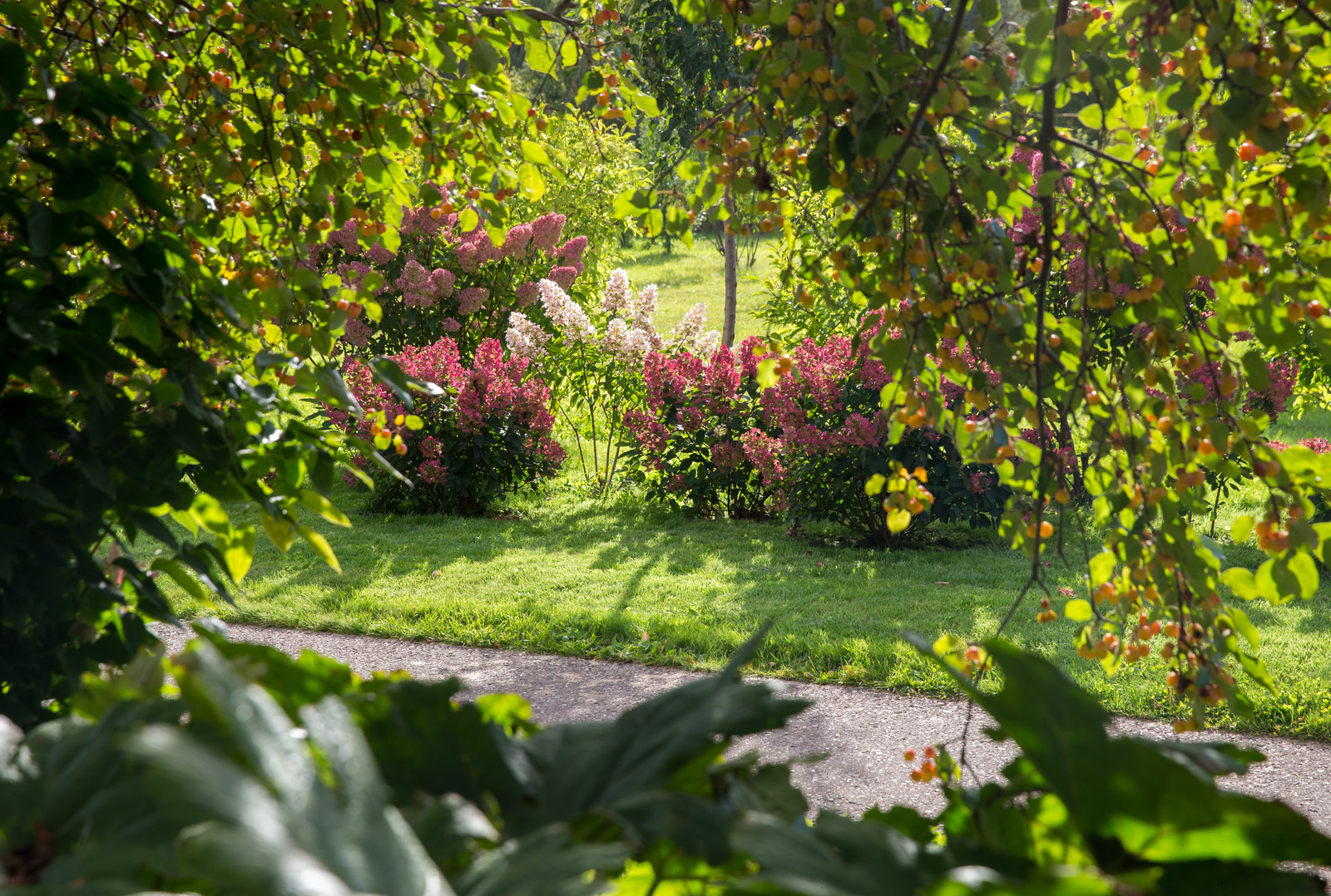 Парк в  Шаховском районе
