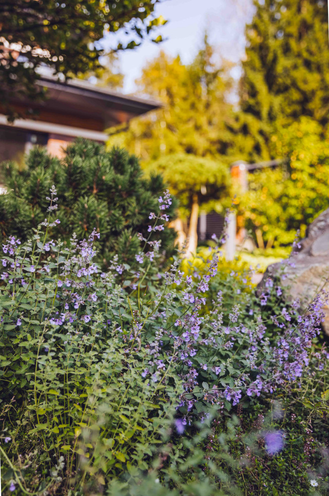 Архитектурное Решение в Пейзажном Стиле