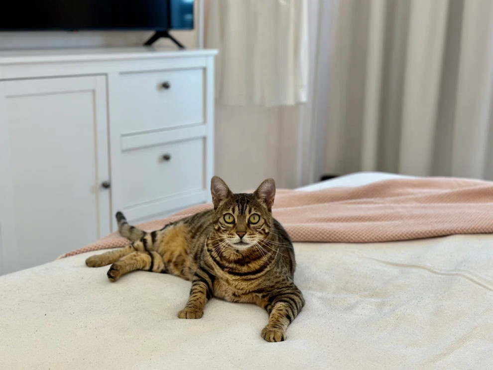 Квартира 50 кв.м для девушки