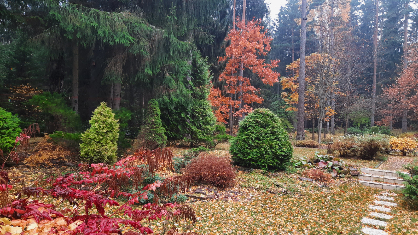 Романтический сад в пейзажном стиле