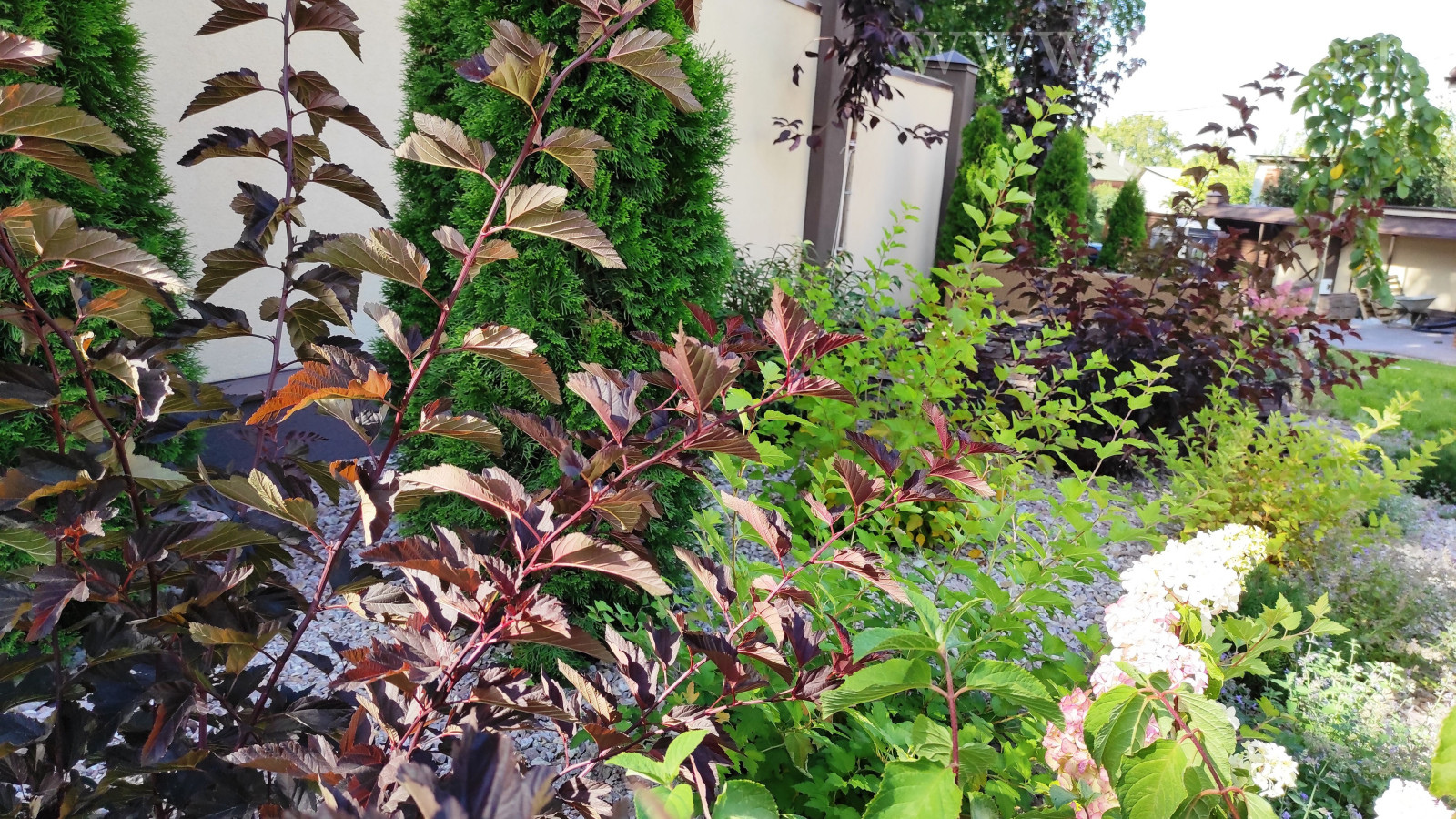 Объект 11 соток. Реализация 2020