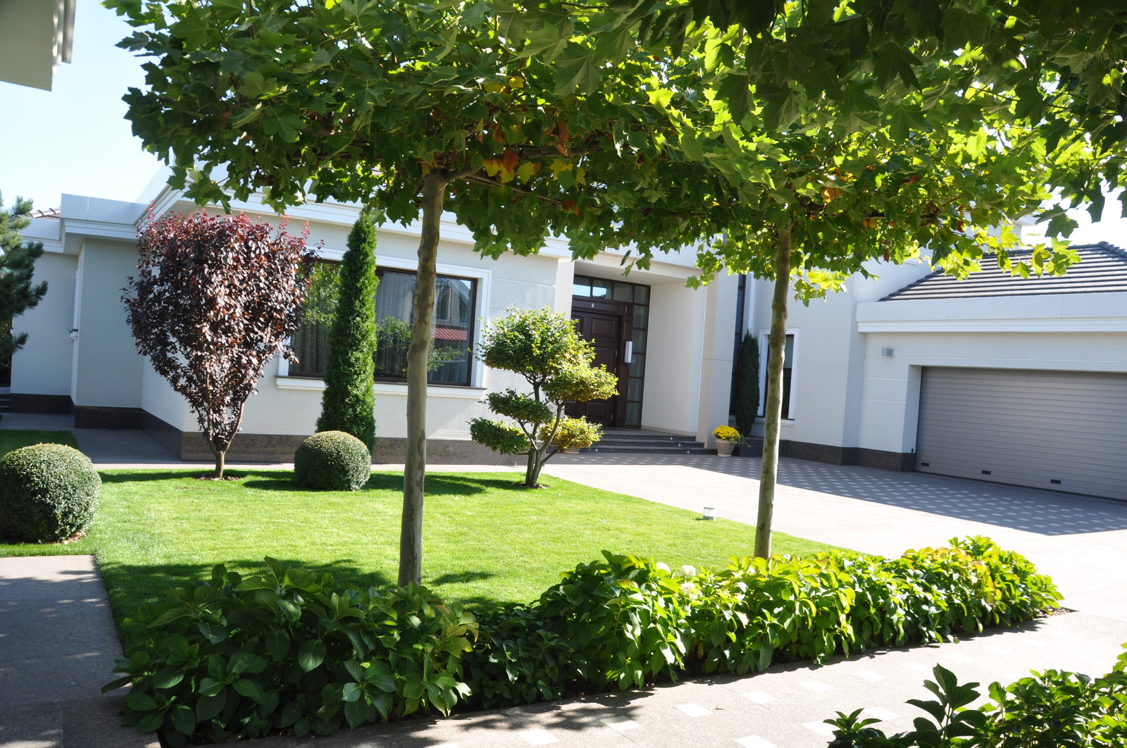 Private contemporary garden / Частный современный сад.