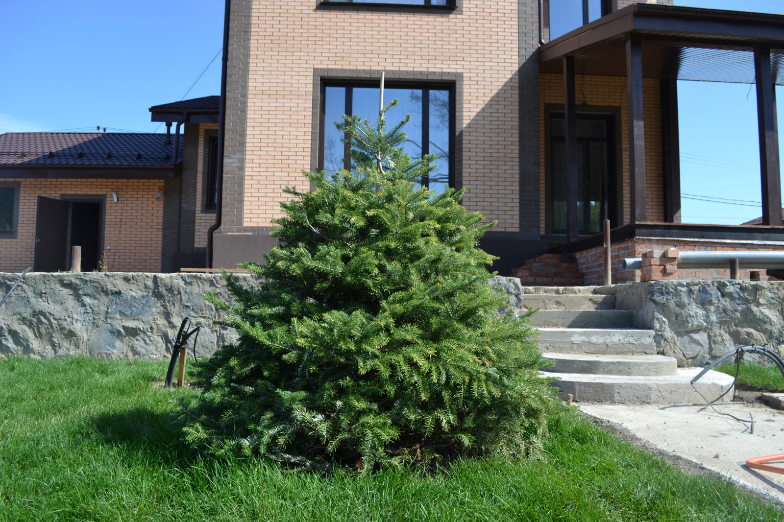 Современный сад в Академгородке