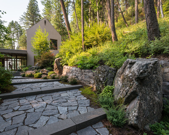 Обложка проекта: Ландшафтный дизайн на лесном участке