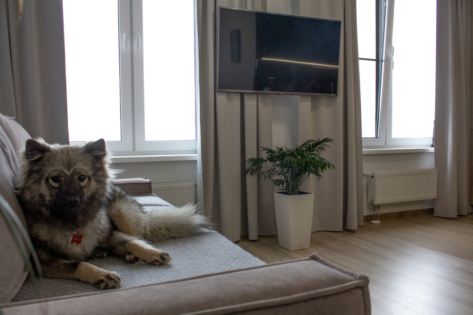 ЖК Микрогород в лесу (2022)