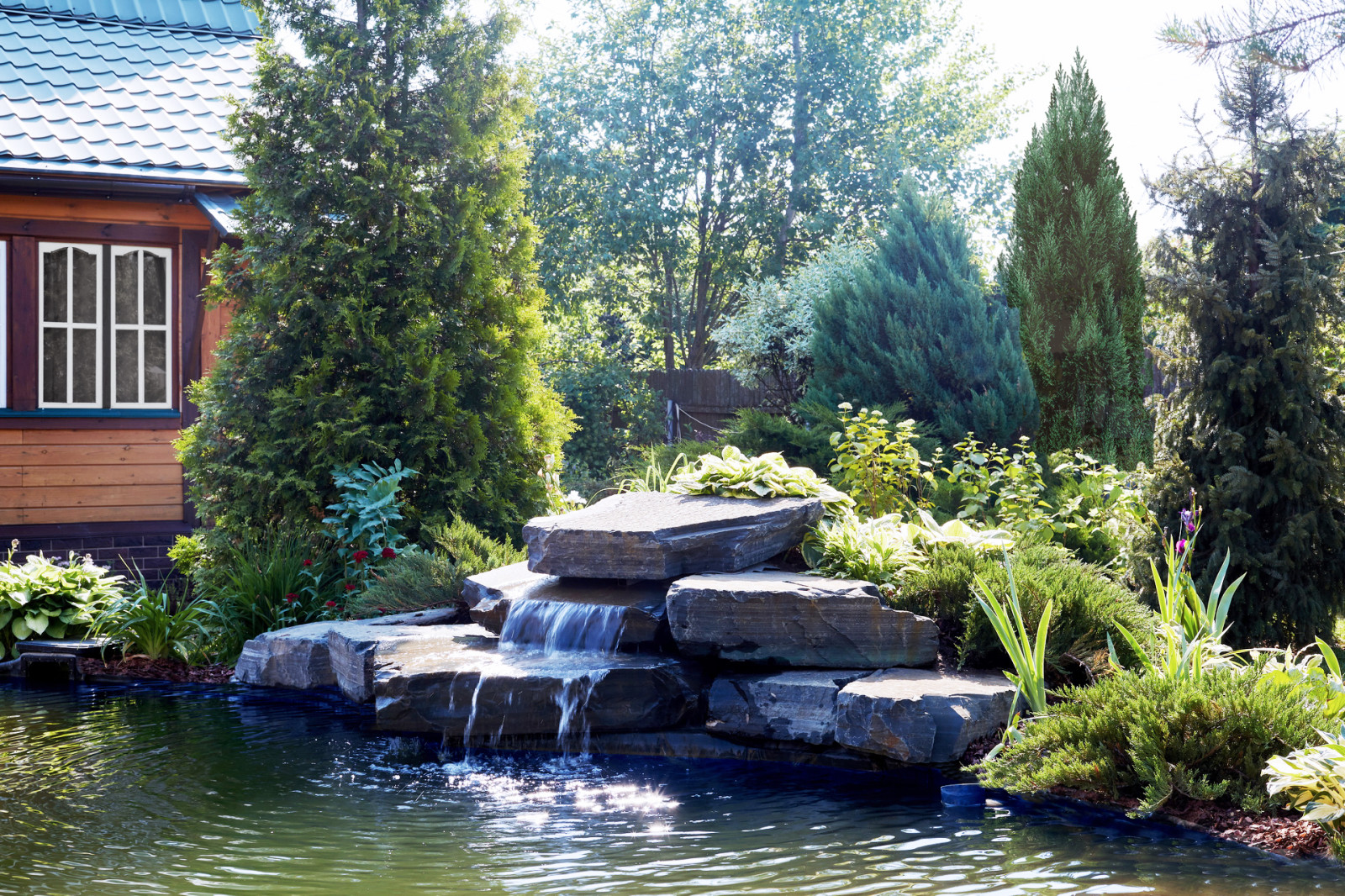 Программа "Дачный ответ на НТВ" 2021