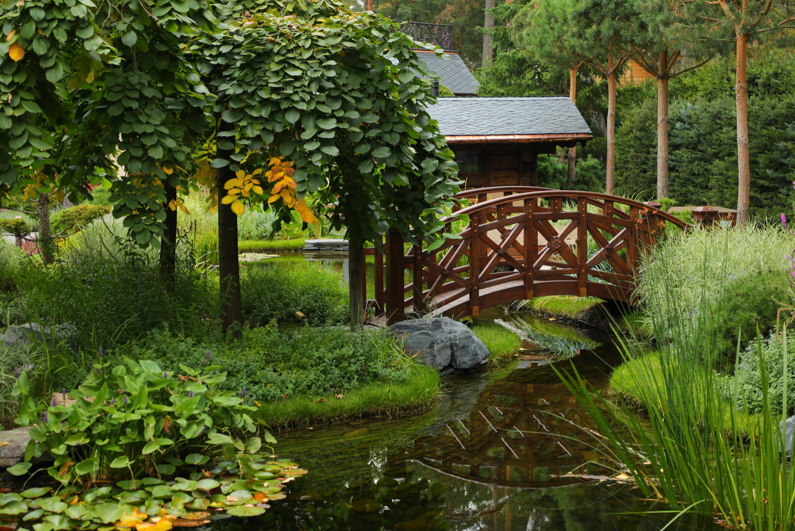 Коттеджный сад в Барвихе (дизайн и исполнение компании "Imperial Garden")