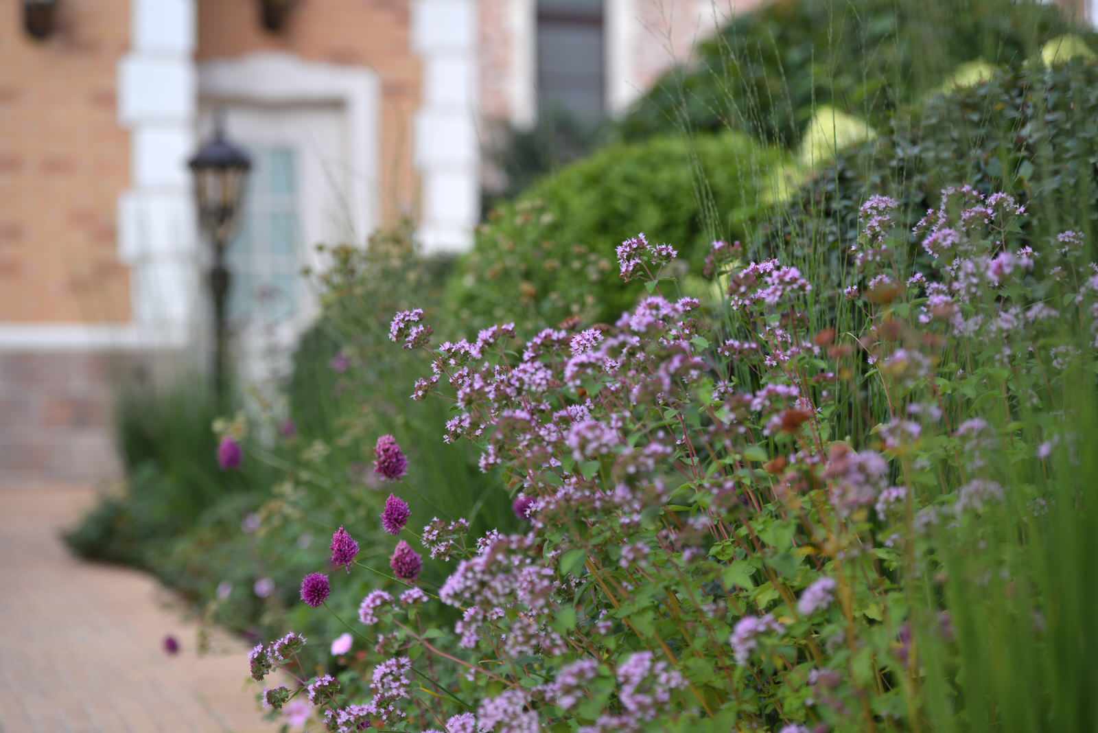 Fairy Garden.Сад под дубами