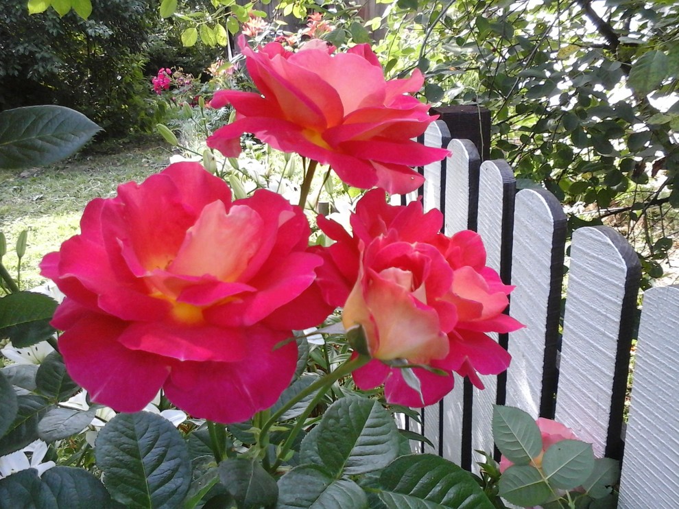 Оформление