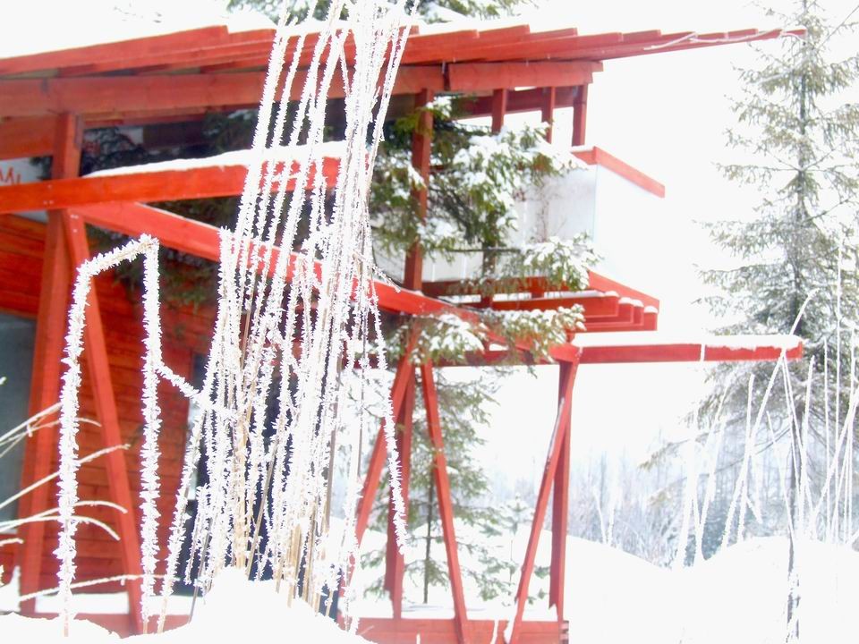 Дом с ёлкой 45 кв.м.