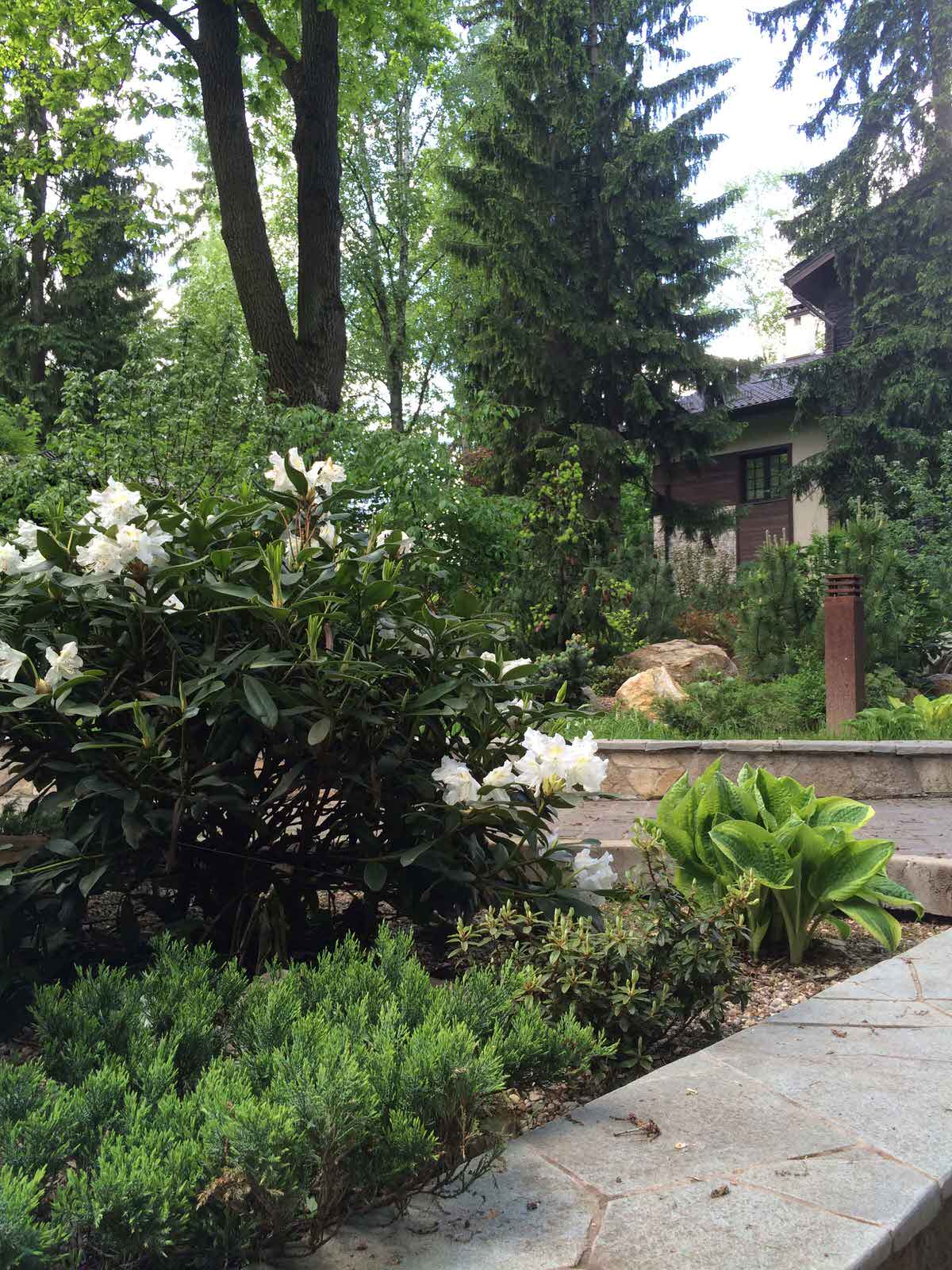 Резиденция "Зимний сад". Благоустройство территории