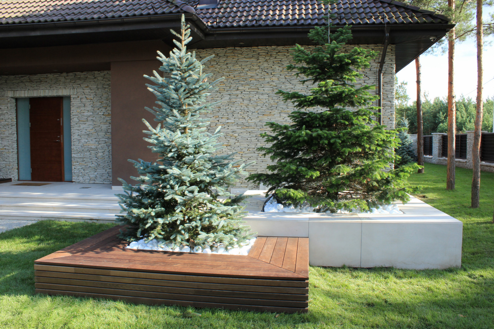 Черноголовка