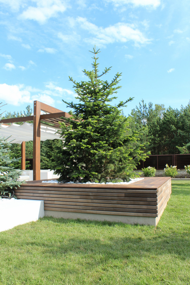 Черноголовка