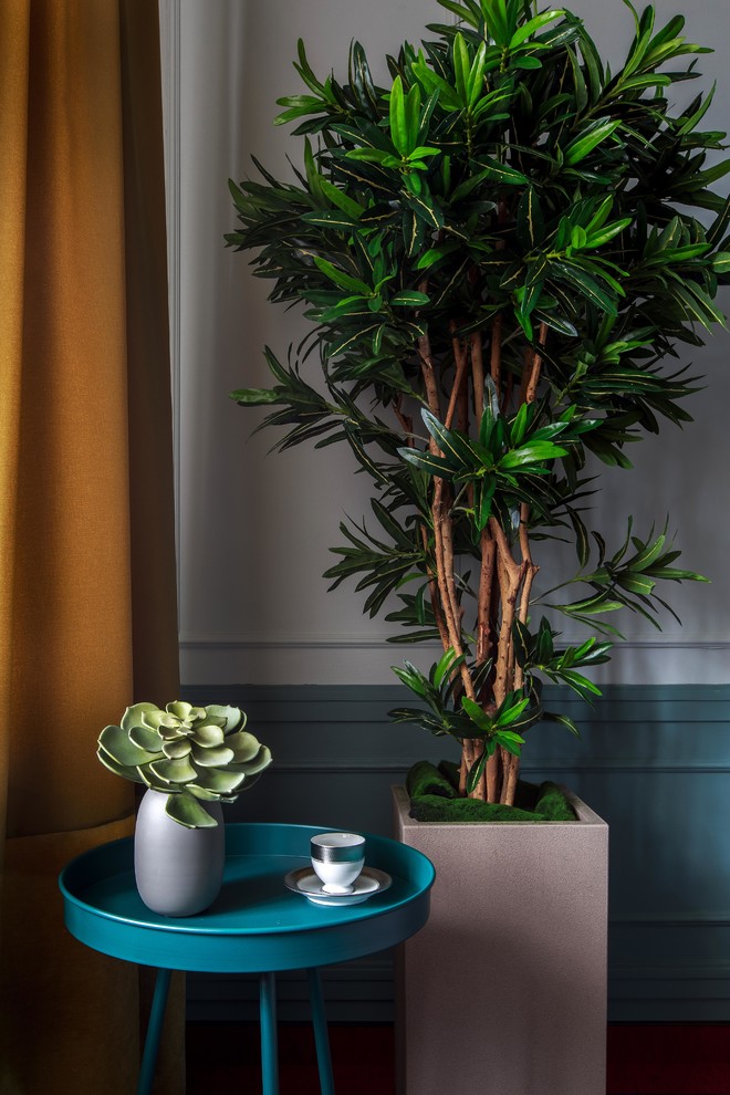 Телепроект "Бесплатные Метры"