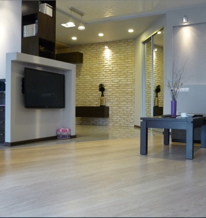 Студия- 50 м2