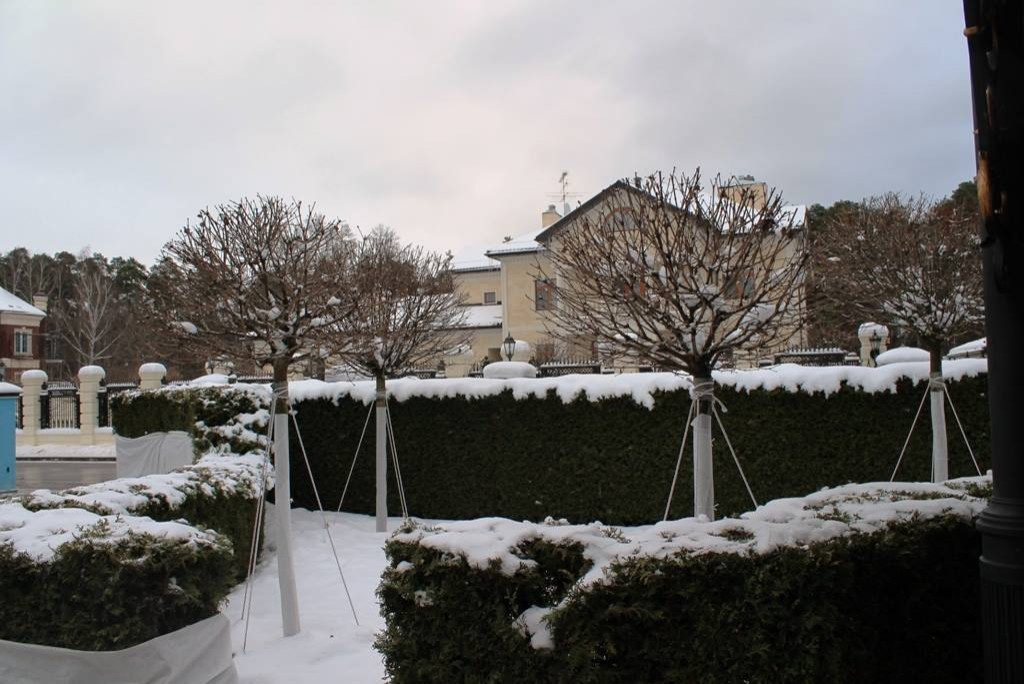 Обложка альбома: Укрытие Растений На Зиму