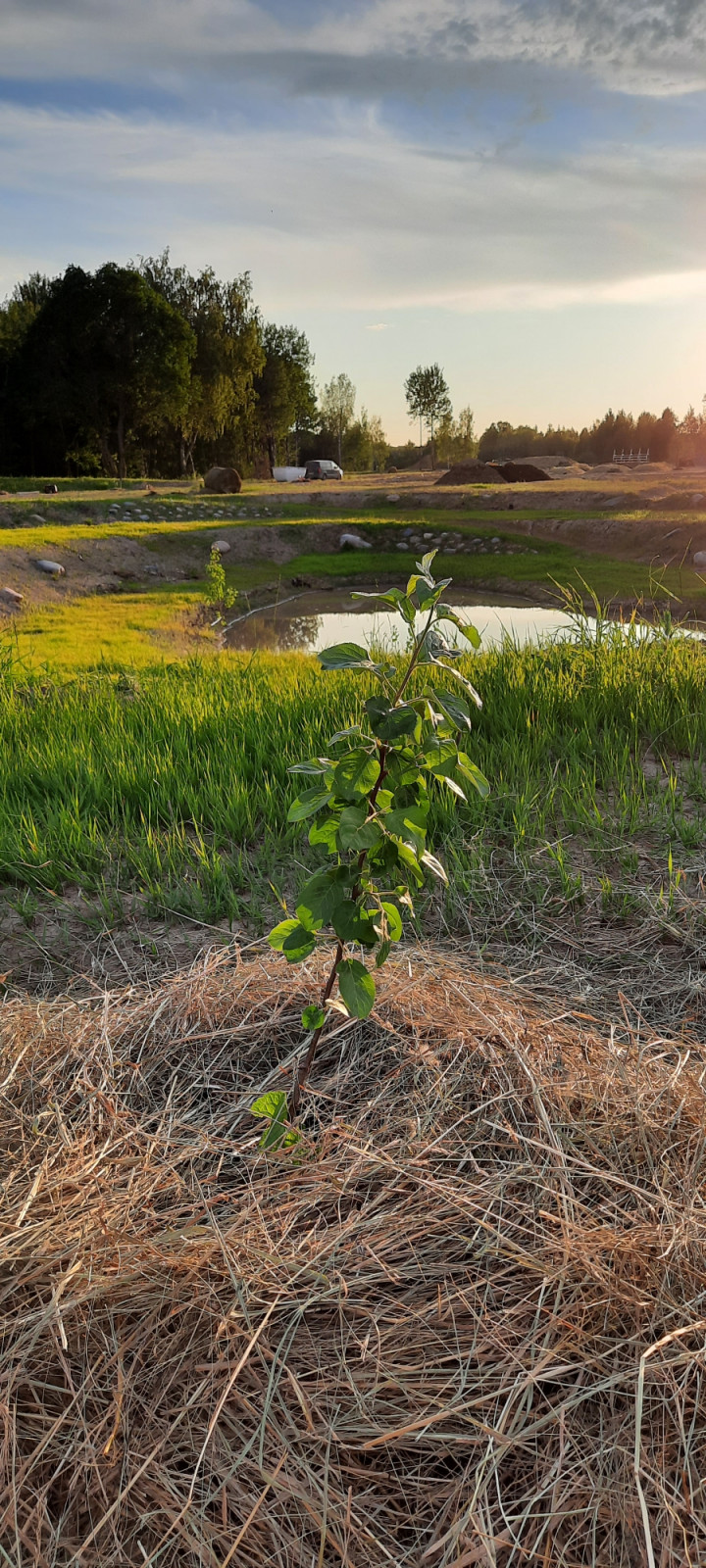 Татьяна Чистякова