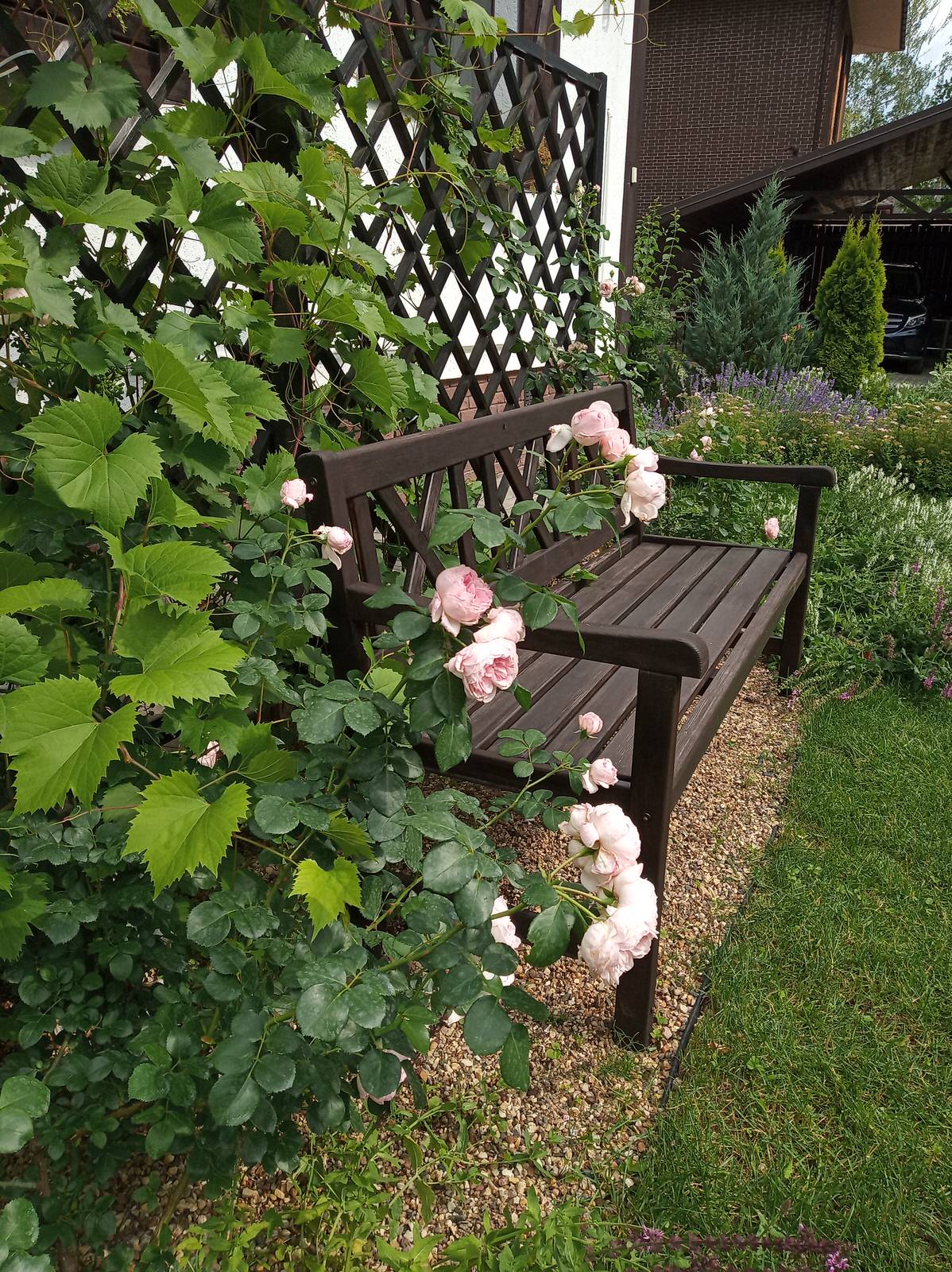 Сад в Рожновке