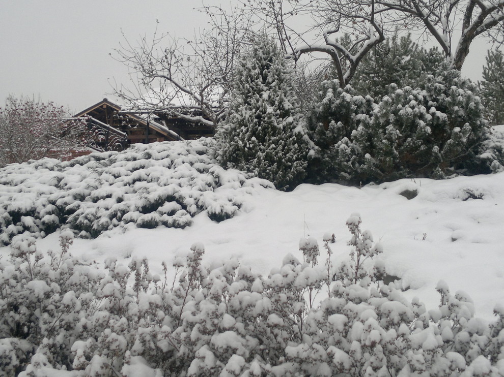 Зимние пейзажи