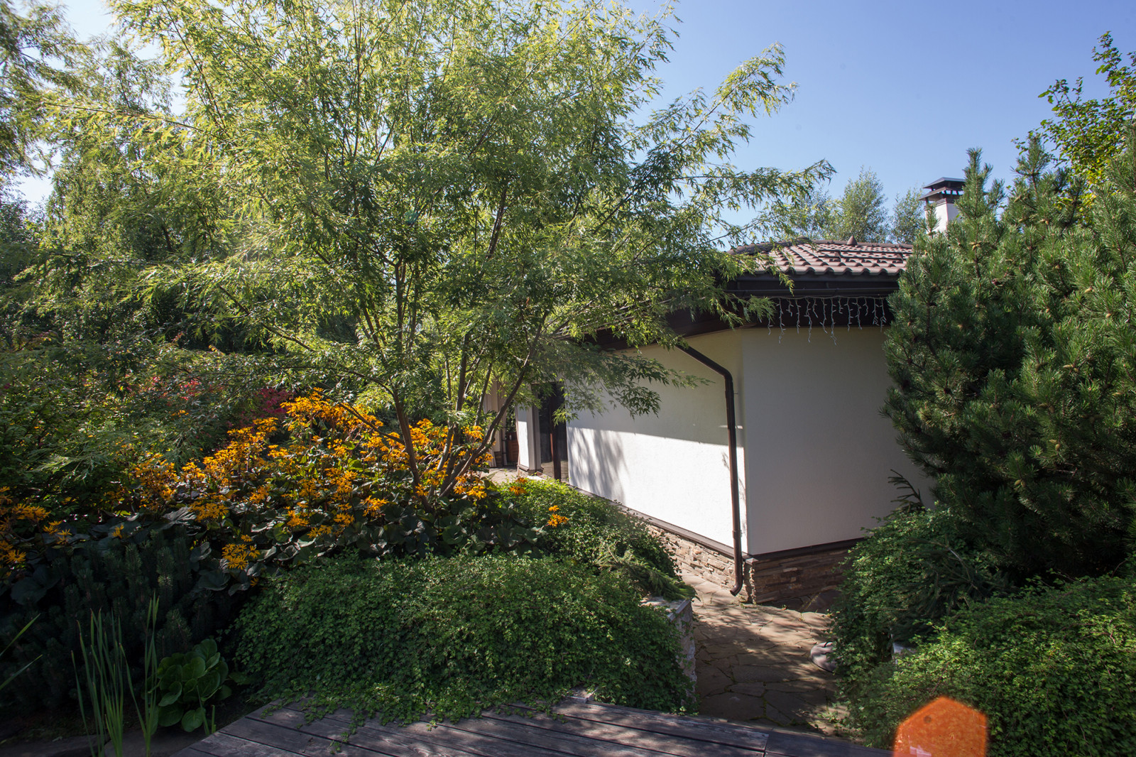 Garden of Elena Astashkina in Moscow Region