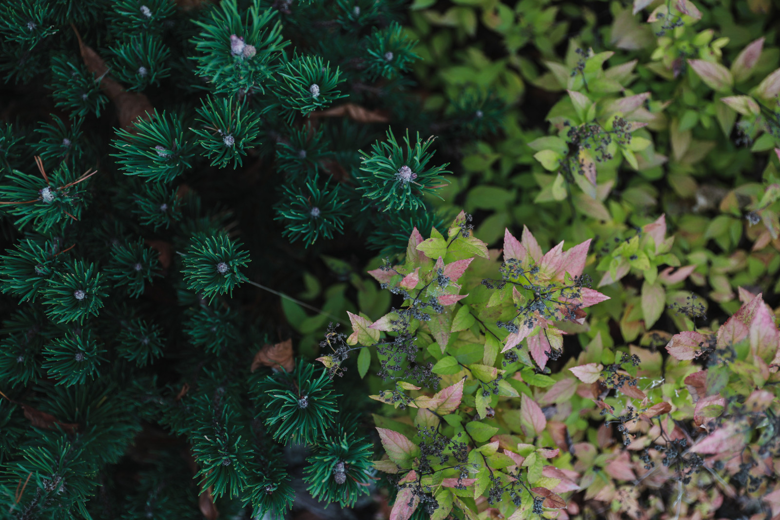 Оформление территории у офисного здания