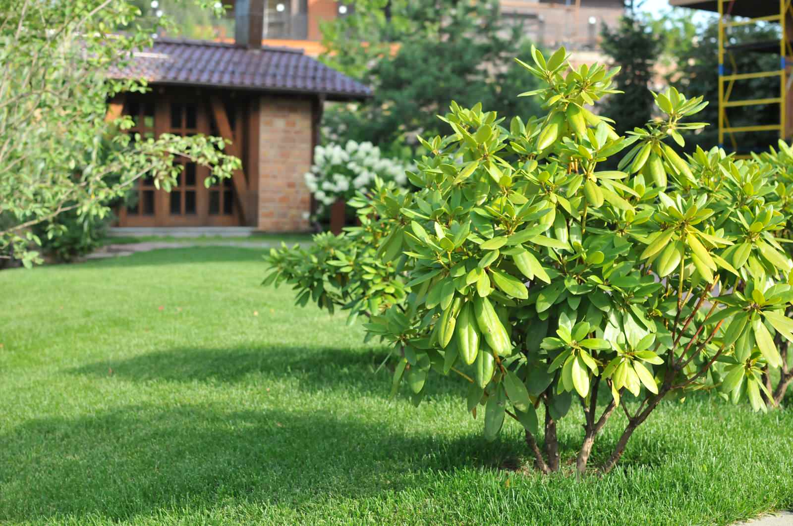 НОВАЯ КЛАССИКА В ИНТЕРЬЕРЕ