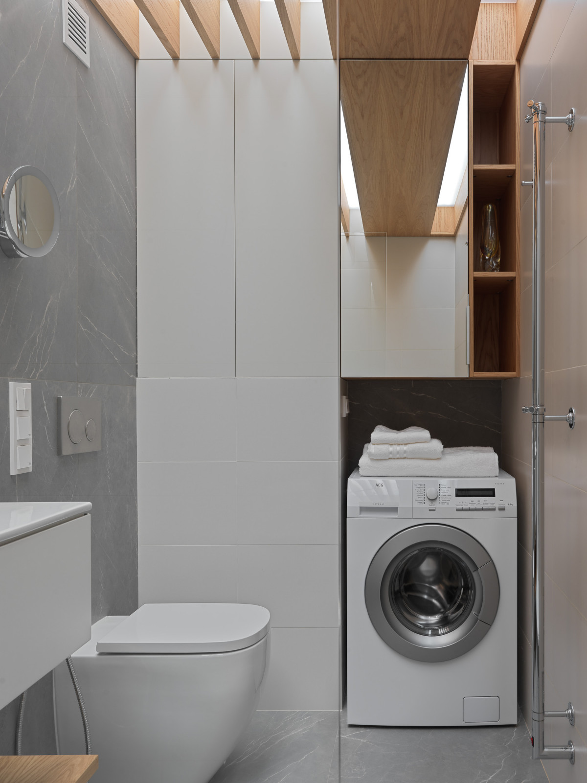 Проект Лебедь