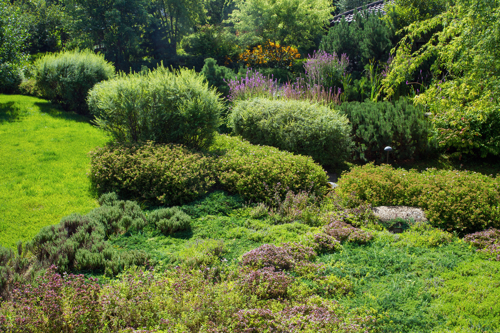 Garden of Elena Astashkina in Moscow Region
