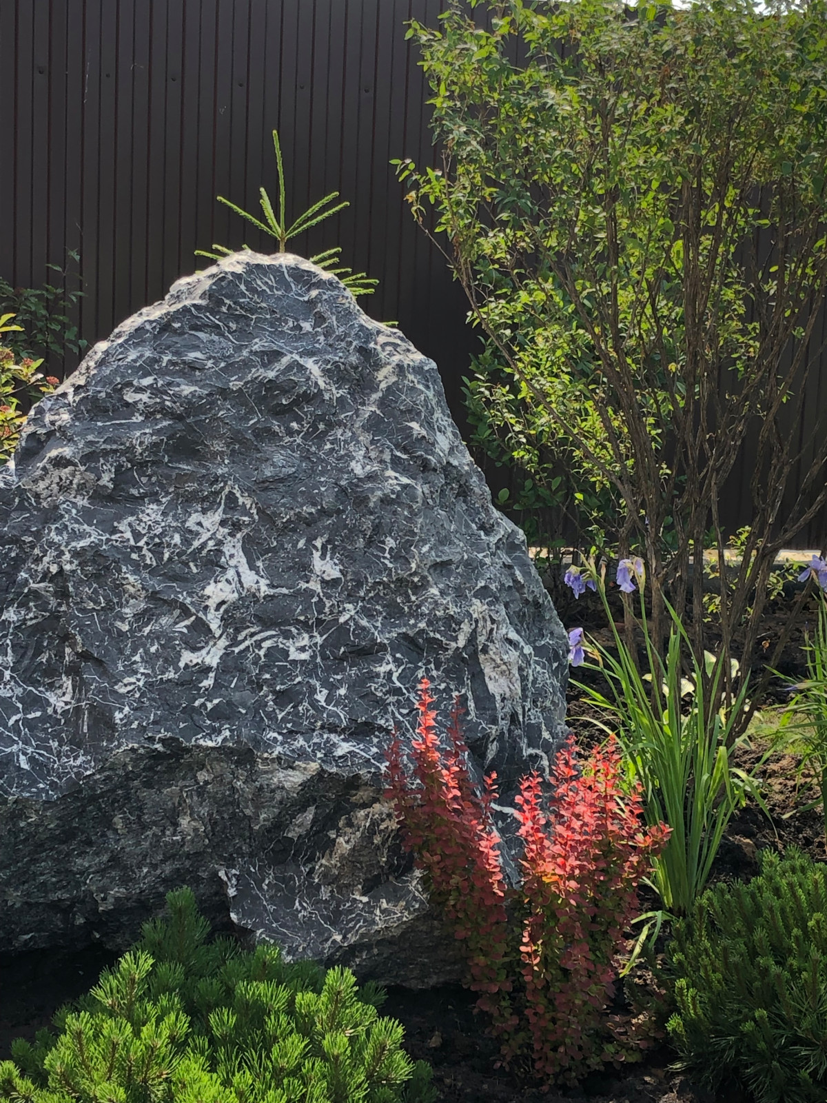 Роман с камнем