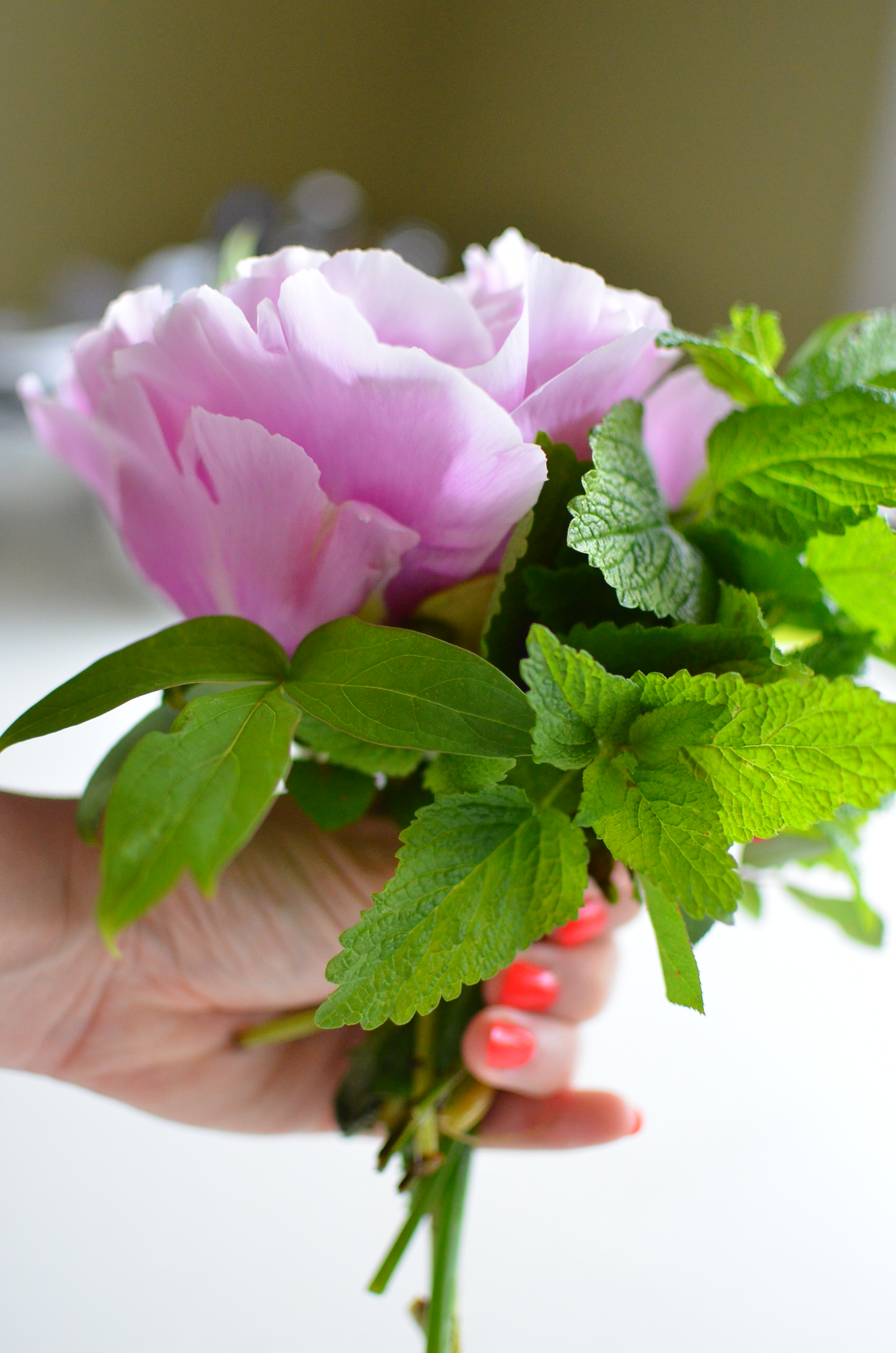 Пионы: выбираем подходящий сорт, высаживаем в грунт