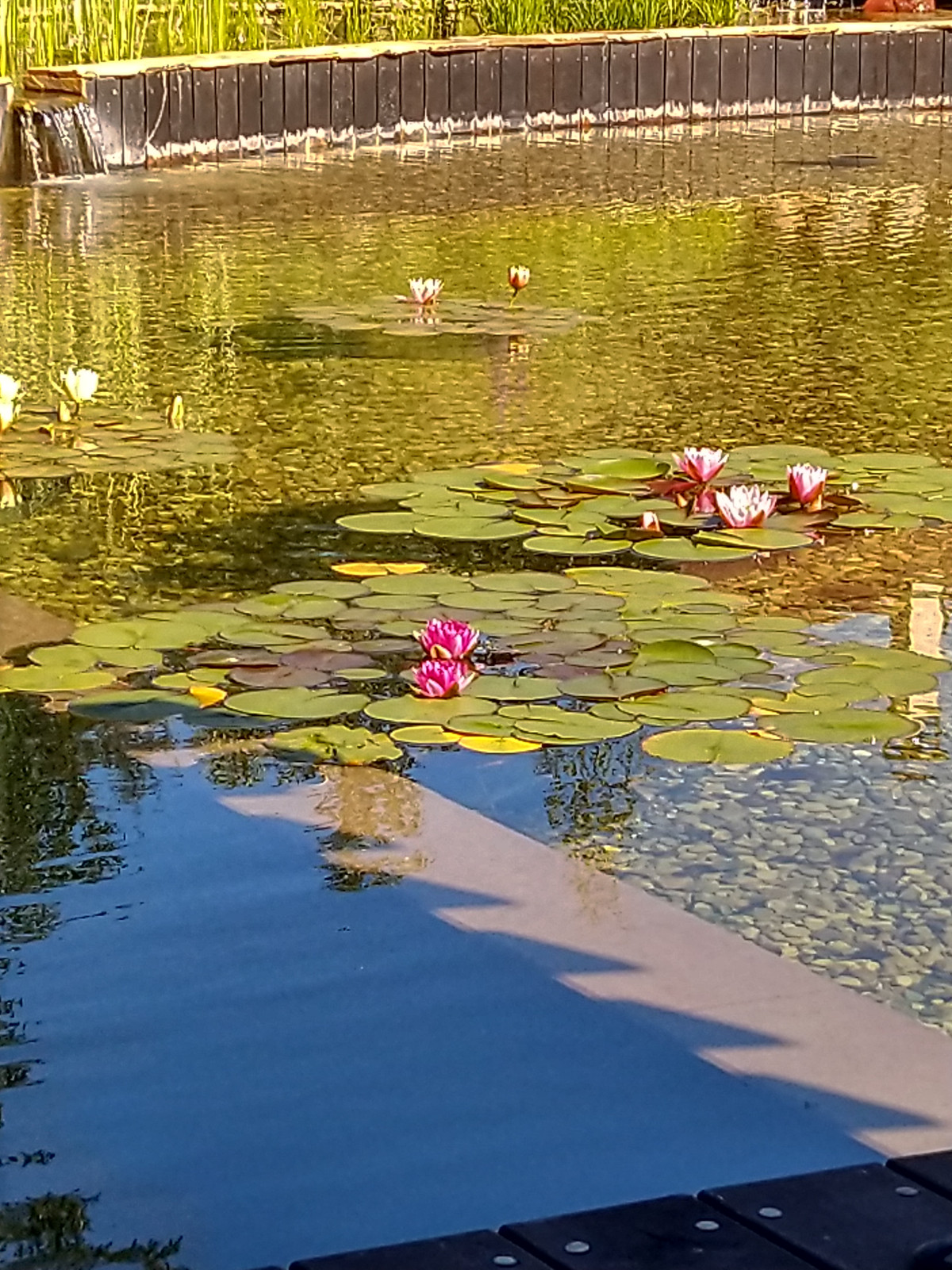 Проект ландшафта в г.Руза