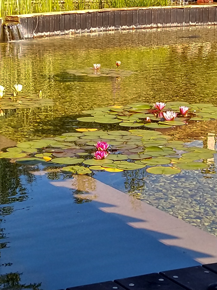 Проект ландшафта в г.Руза