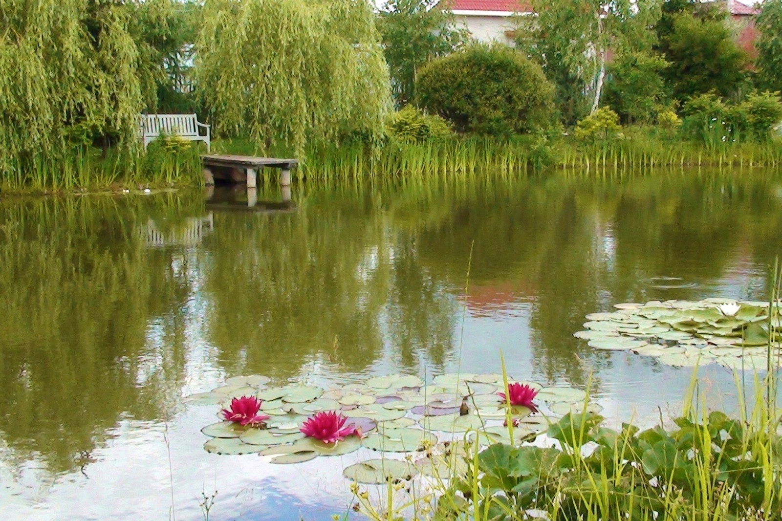 Наши работы