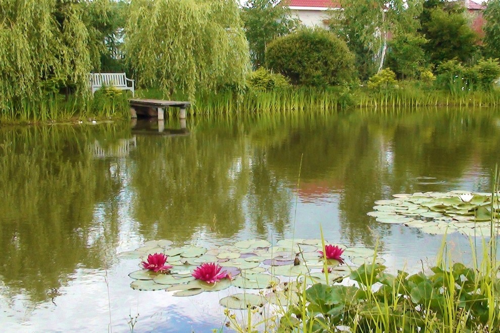 Наши работы