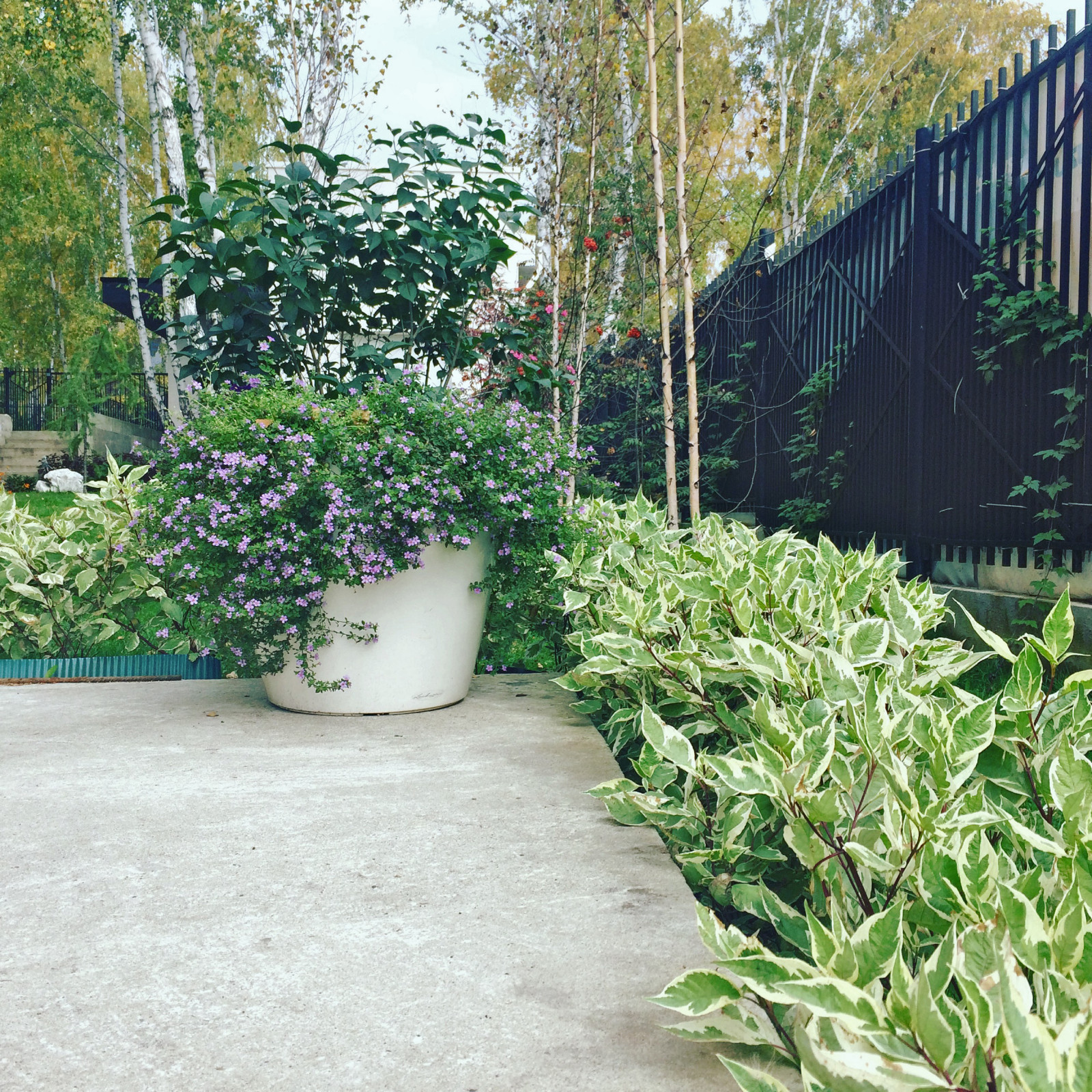 Сад с водоемом