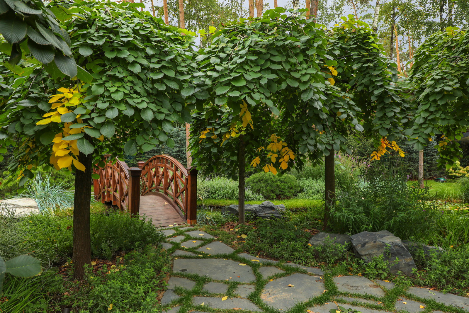 Коттеджный сад в Барвихе (дизайн и исполнение компании "Imperial Garden")