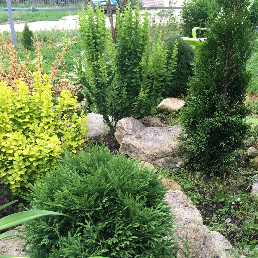 Реставрация старинного сада в калужской области