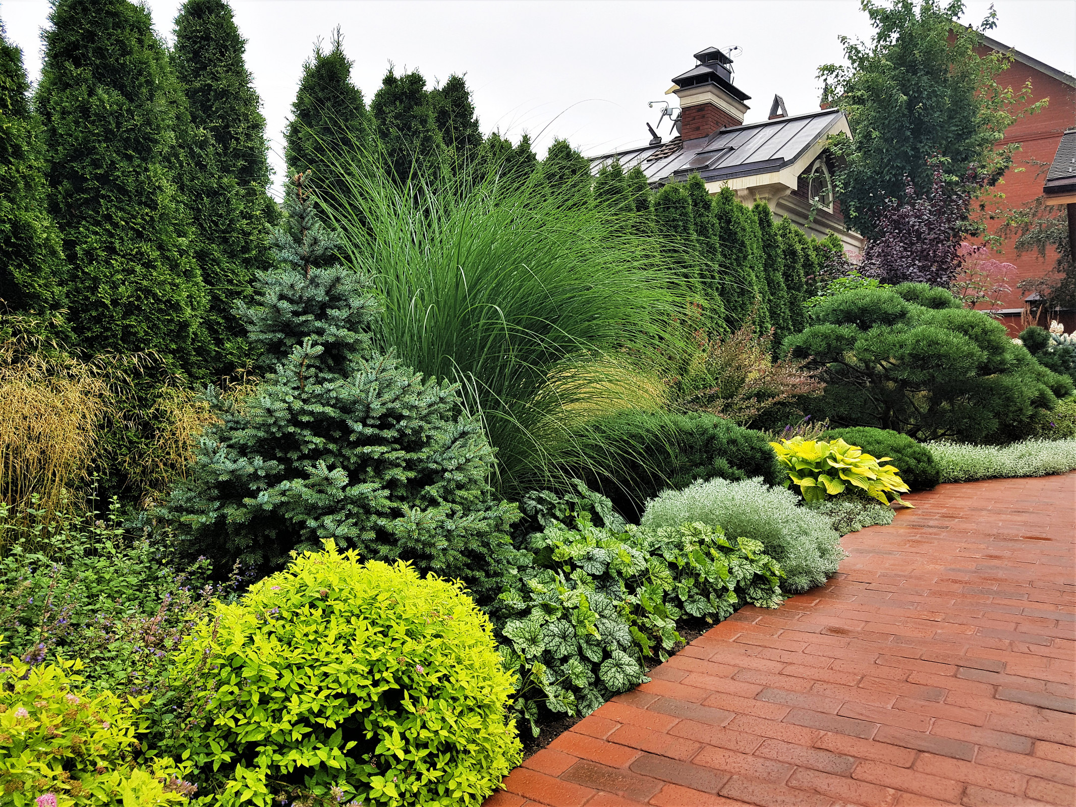 Сад с аурой