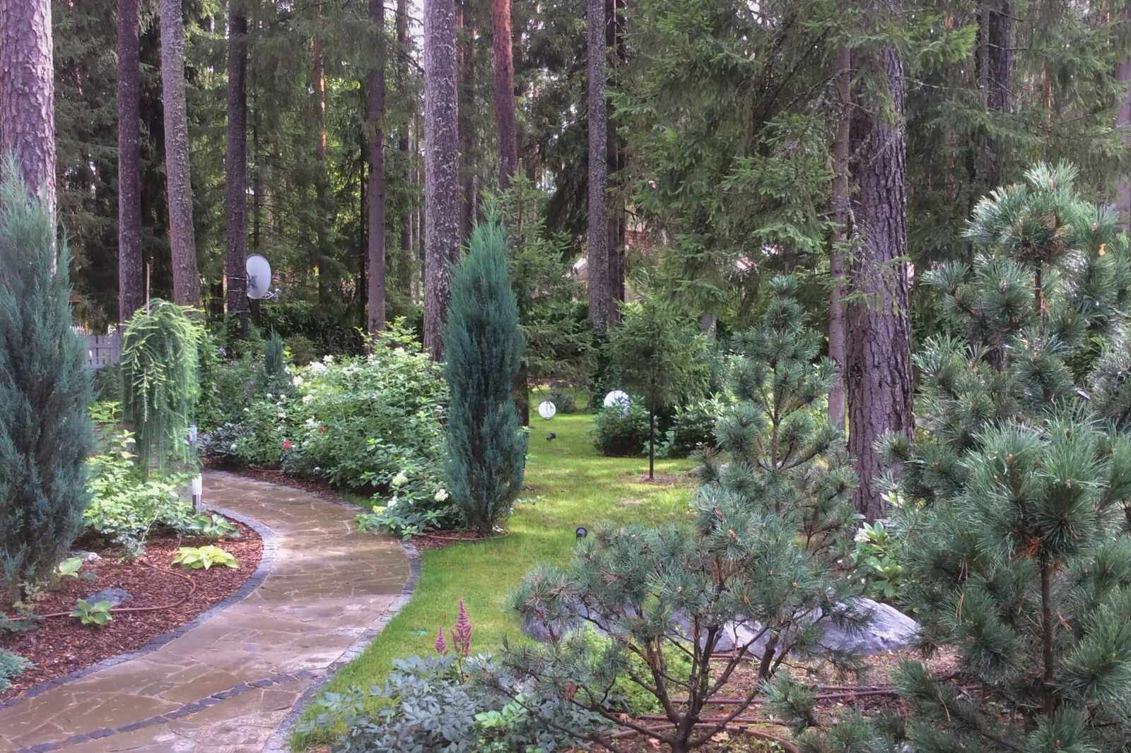 ШЕРВУДСКИЙ ЛЕС