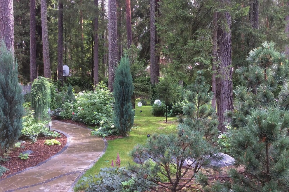 ШЕРВУДСКИЙ ЛЕС