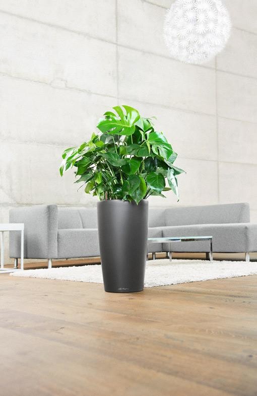 Уникальные и элегантные